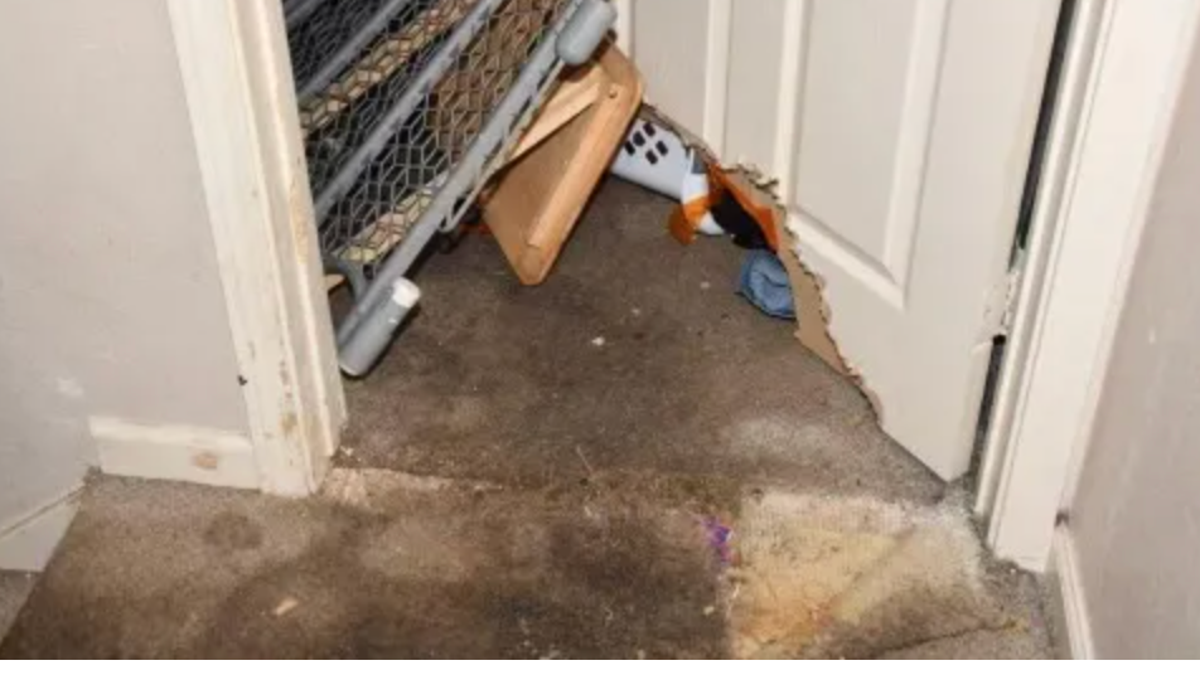 A toddler and a teenager were reportedly left alone by their babysitter and attacked by their dogs. These are the stairs in babysitter Heather Rodriguez's house.